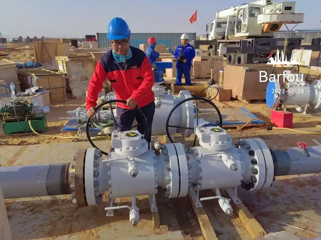 Cepai Butterfly Valves