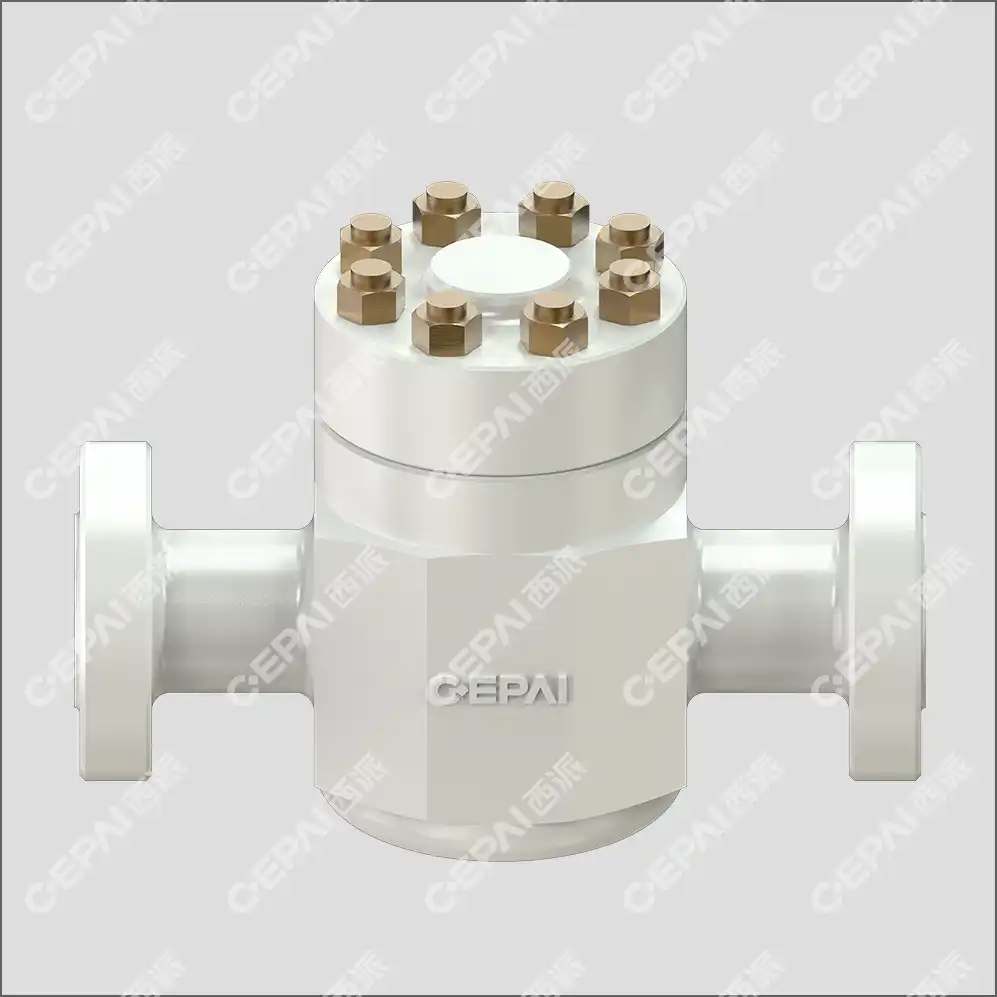 check valves