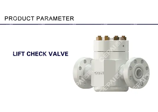 Check valves
