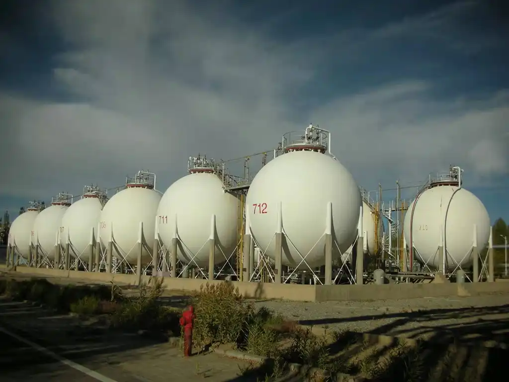 Cepai Valves