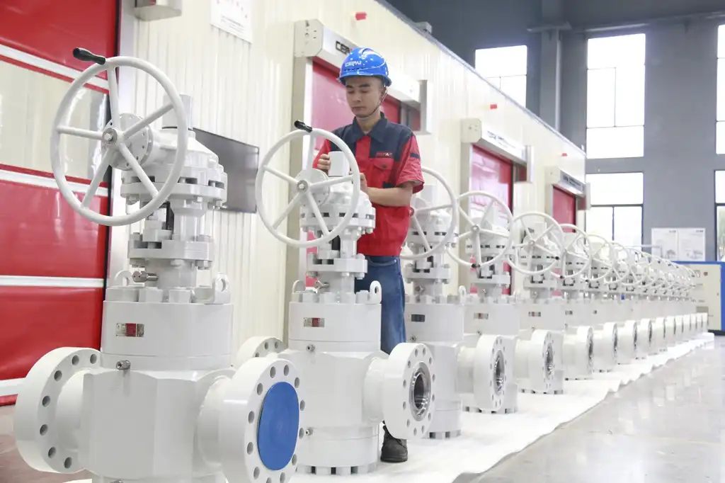 Cepai Globe Valve Cepai Globe Valve